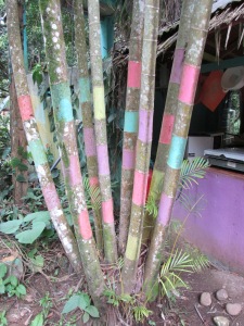 Usually the trees in Costa Rica are painted on the bottom to protect them against aunts, but I think they were just having fun with these ones.